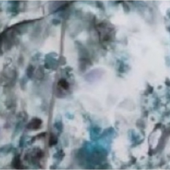 Lululemon Speed Up Short Size 4 with 2.5" inseam Kaleidofloral Multi Blue Cast - Picture 2 of 14